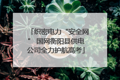 织密电力“安全网” 国网衡阳县供电公司全力护航高考