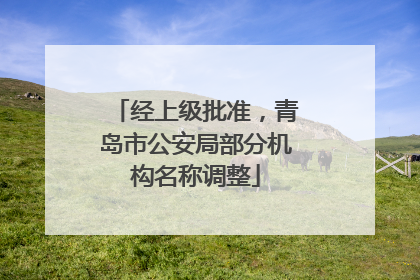 经上级批准，青岛市公安局部分机构名称调整