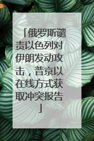 俄罗斯谴责以色列对伊朗发动攻击，普京以在线方式获取冲突报告