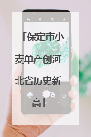 保定市小麦单产创河北省历史新高