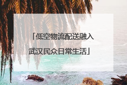 低空物流配送融入武汉民众日常生活