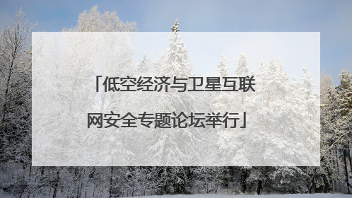 低空经济与卫星互联网安全专题论坛举行