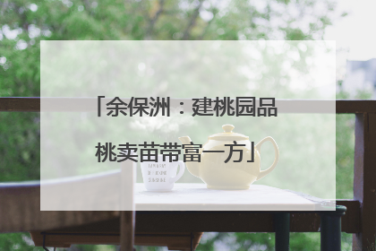 余保洲：建桃园品桃卖苗带富一方