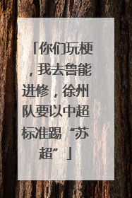 你们玩梗，我去鲁能进修，徐州队要以中超标准踢“苏超”