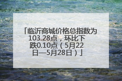 临沂商城价格总指数为103.28点，环比下跌0.10点（5月22日—5月28日）