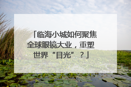 临海小城如何聚焦全球眼镜大业，重塑世界“目光”？