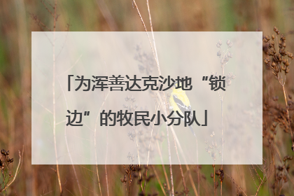 为浑善达克沙地“锁边”的牧民小分队