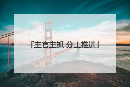 主官主抓 分工推进