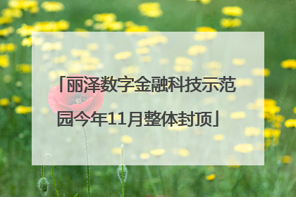丽泽数字金融科技示范园今年11月整体封顶