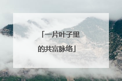 一片叶子里的共富脉络