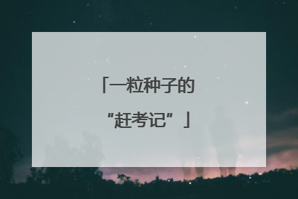 一粒种子的“赶考记”