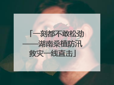 一刻都不敢松劲——湖南桑植防汛救灾一线直击