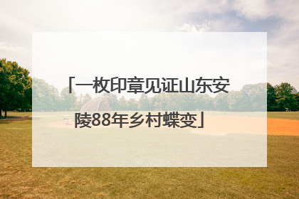 一枚印章见证山东安陵88年乡村蝶变