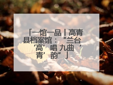一馆一品丨高青县档案馆：“兰台‘高’唱 九曲‘青’韵”