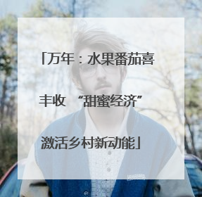 万年：水果番茄喜丰收 “甜蜜经济”激活乡村新动能