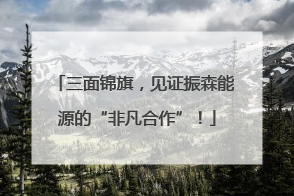 三面锦旗，见证振森能源的“非凡合作”！