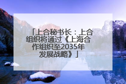 上合秘书长：上合组织将通过《上海合作组织至2035年发展战略》