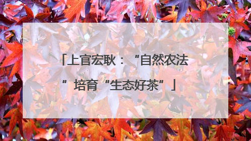 上官宏耿：“自然农法”培育“生态好茶”
