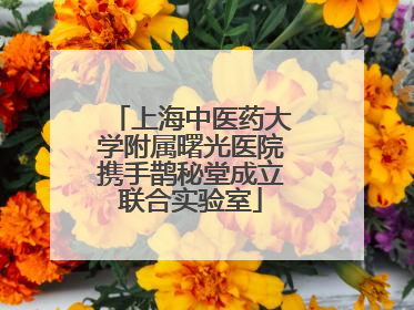 上海中医药大学附属曙光医院携手鹊秘堂成立联合实验室
