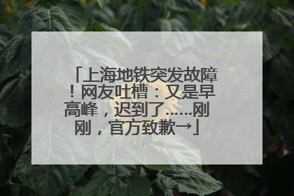 上海地铁突发故障！网友吐槽：又是早高峰，迟到了……刚刚，官方致歉→