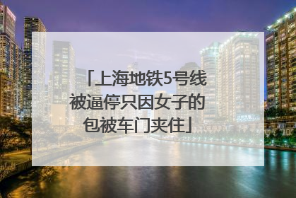 上海地铁5号线被逼停只因女子的包被车门夹住