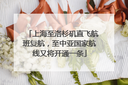 上海至洛杉矶直飞航班复航，至中亚国家航线又将开通一条