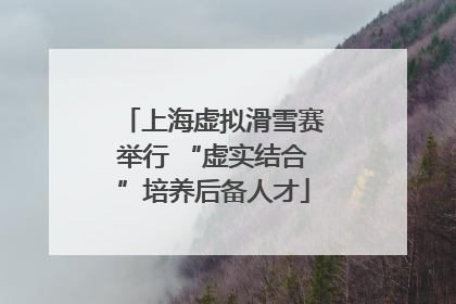 上海虚拟滑雪赛举行 “虚实结合”培养后备人才