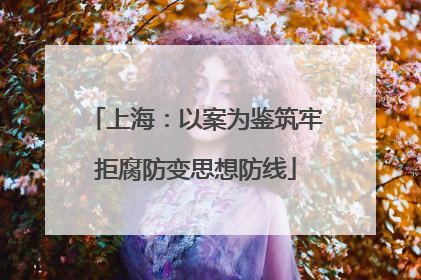 上海：以案为鉴筑牢拒腐防变思想防线