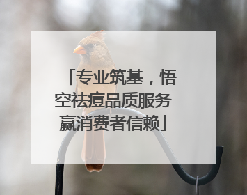 专业筑基，悟空祛痘品质服务赢消费者信赖