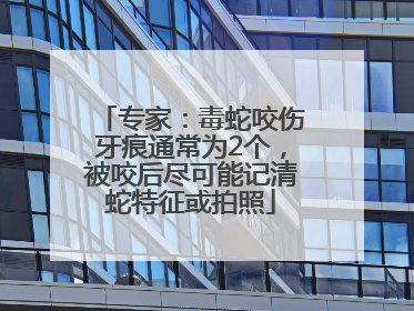 专家：毒蛇咬伤牙痕通常为2个，被咬后尽可能记清蛇特征或拍照