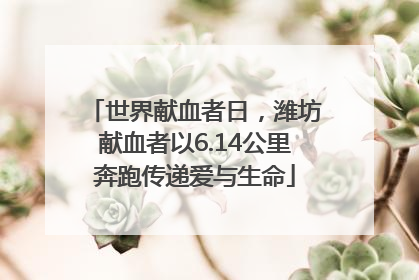 世界献血者日，潍坊献血者以6.14公里奔跑传递爱与生命