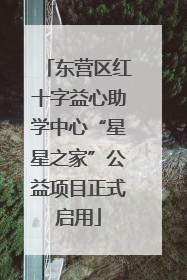 东营区红十字益心助学中心“星星之家”公益项目正式启用