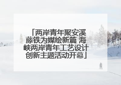 两岸青年聚安溪 藤铁为媒绘新篇 海峡两岸青年工艺设计创新主题活动开幕