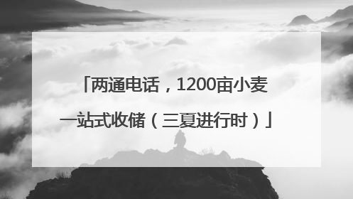 两通电话，1200亩小麦一站式收储（三夏进行时）