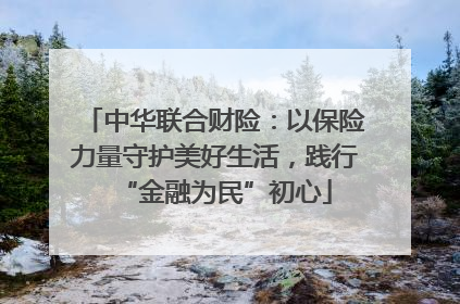 中华联合财险：以保险力量守护美好生活，践行“金融为民”初心