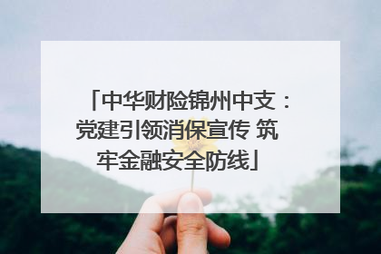 中华财险锦州中支：党建引领消保宣传 筑牢金融安全防线