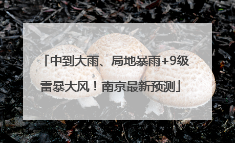 中到大雨、局地暴雨+9级雷暴大风！南京最新预测