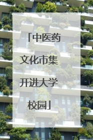中医药文化市集开进大学校园