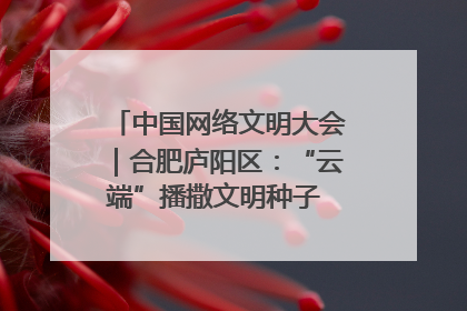 中国网络文明大会｜合肥庐阳区：“云端”播撒文明种子 共建清朗网络空间