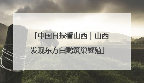 中国日报看山西｜山西发现东方白鹳筑巢繁殖