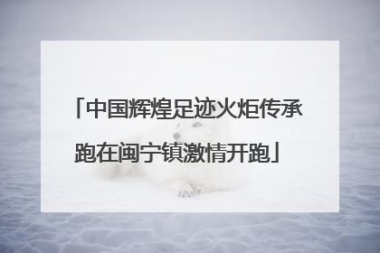 中国辉煌足迹火炬传承跑在闽宁镇激情开跑