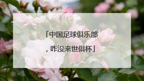 中国足球俱乐部，咋没来世俱杯