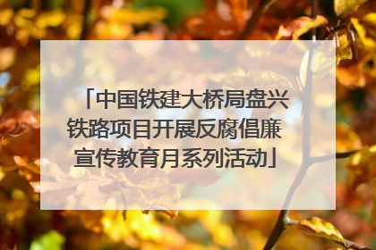 中国铁建大桥局盘兴铁路项目开展反腐倡廉宣传教育月系列活动