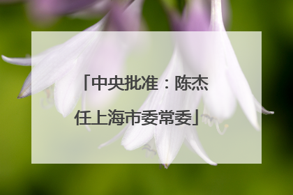 中央批准：陈杰任上海市委常委