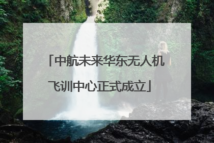 中航未来华东无人机飞训中心正式成立