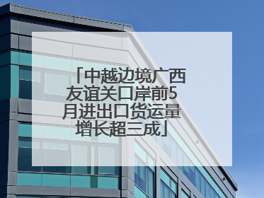 中越边境广西友谊关口岸前5月进出口货运量增长超三成