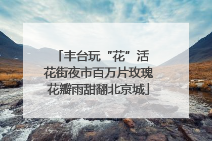 丰台玩“花”活 花街夜市百万片玫瑰花瓣雨甜翻北京城