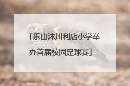 乐山沐川利店小学举办首届校园足球赛
