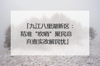 九江八里湖新区：精准“吹哨”聚民意 真查实改解民忧