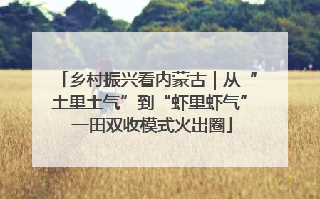 乡村振兴看内蒙古｜从“土里土气”到“虾里虾气” 一田双收模式火出圈